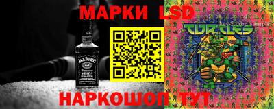 гидропоника Апшеронск