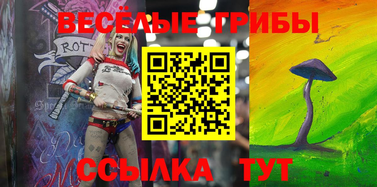Псилоцибиновые грибы Psilocybe Воскресенск