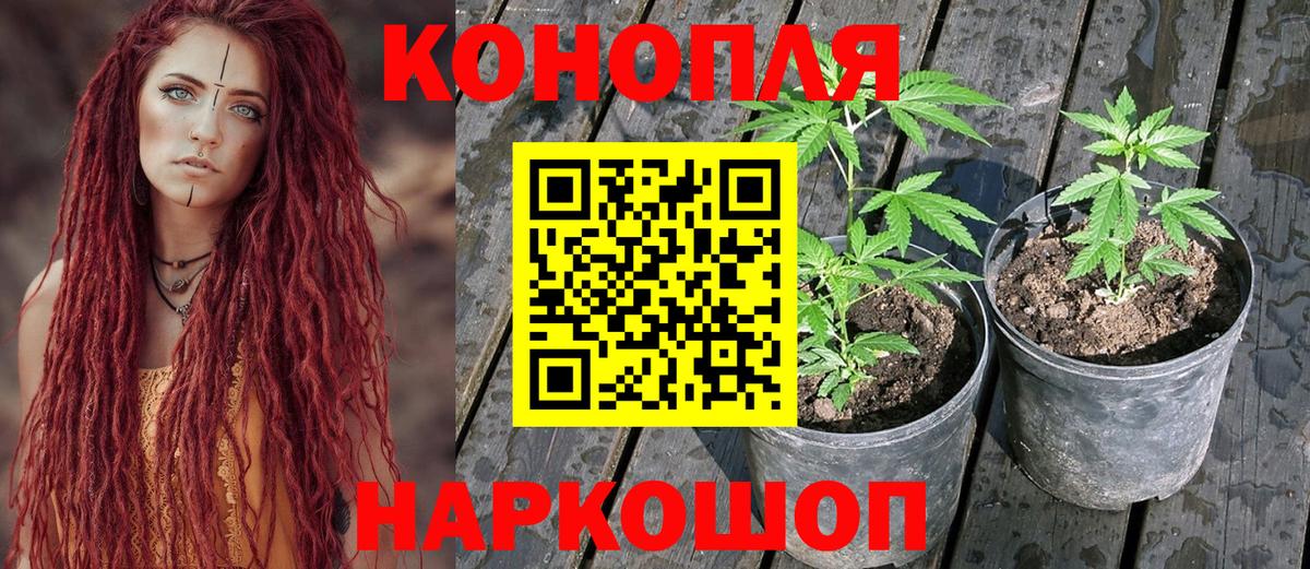 Бошки марихуана Ganja Воскресенск